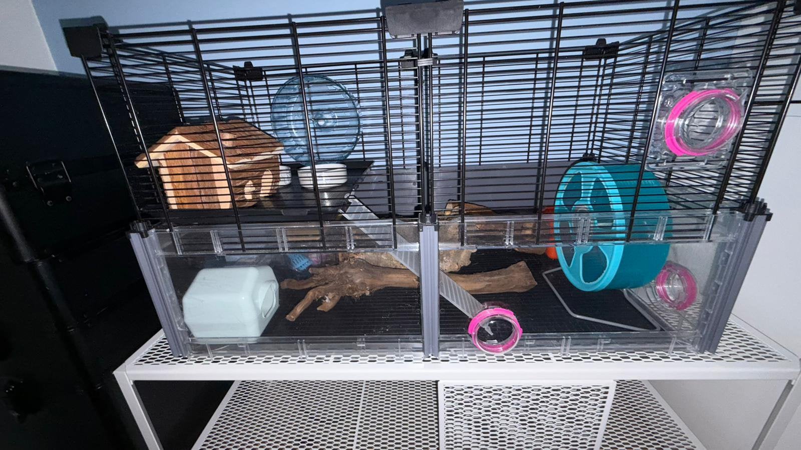 Complete hamsterkooi met toebehoren incl opzettafel, Dieren en Toebehoren, Minder dan 75 cm, Zo goed als nieuw, Ophalen, Minder dan 60 cm
