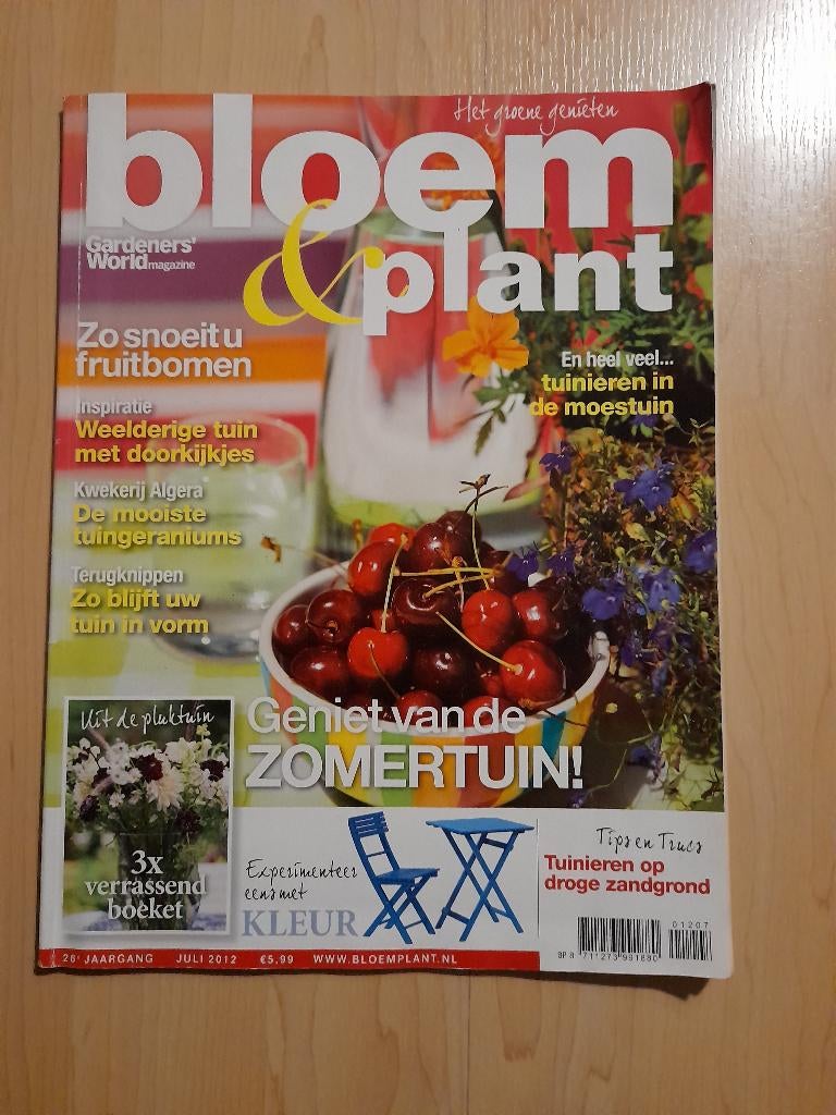 global healing plant based iron Iron | Capsules Plant Based main image 1