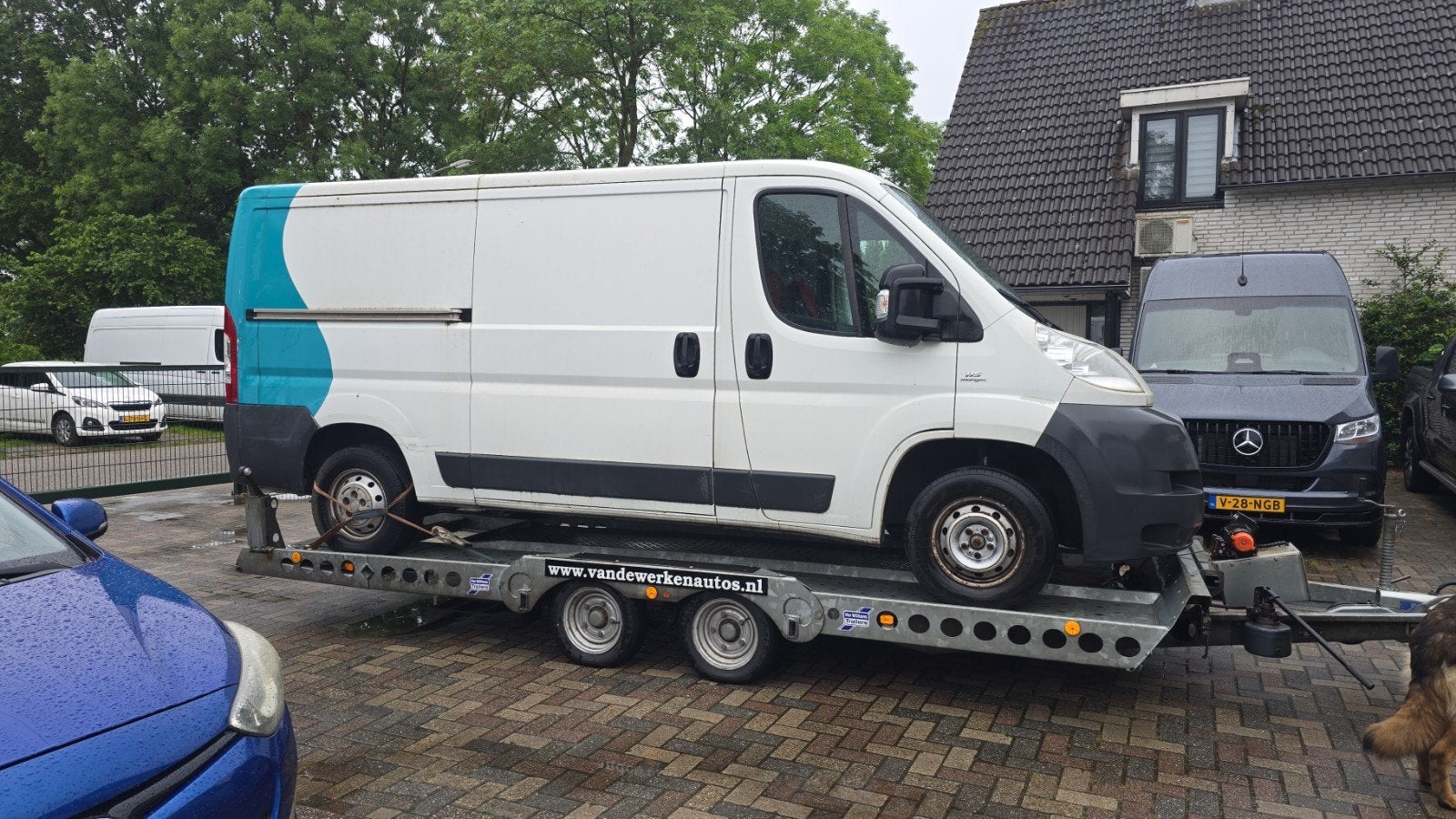Ifor Williams 2021 autotransporter met elektrische lier, Ophalen of Verzenden, Zo goed als nieuw