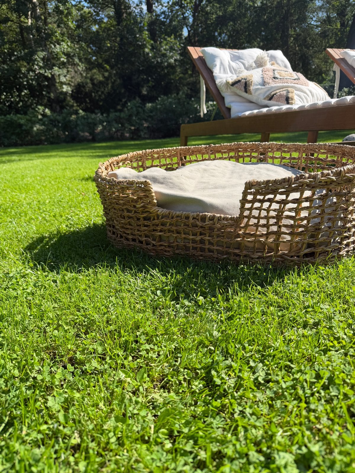 Hondenmand Zara Home, Ophalen, Nieuw