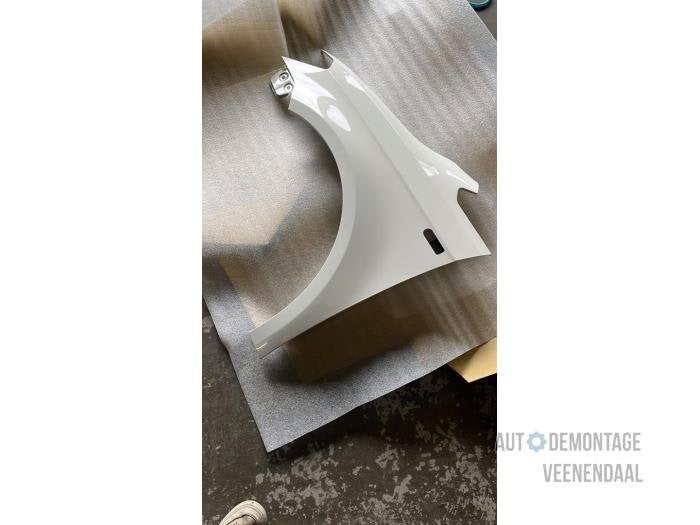 Scherm links-voor van een Volkswagen Caddy (LB9A), -, Volkswagen, -, Nieuw