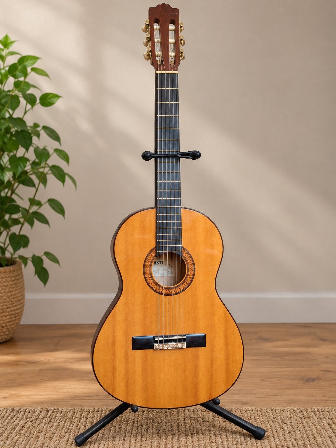 Klassieke lesgitaar, Ophalen, Gebruikt, Klassieke of Spaanse gitaar