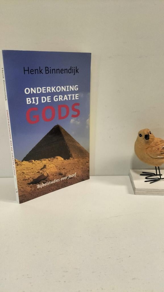 Binnendijk, Henk; Onderkoning bij de gratie Gods, Ophalen of Verzenden, Gelezen, Christendom | Protestants