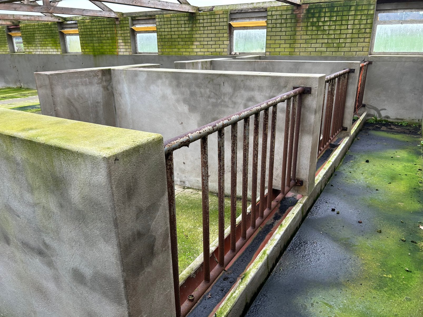 Afscherming coor koeien / hokken, Dieren en Toebehoren, Stalling en Weidegang