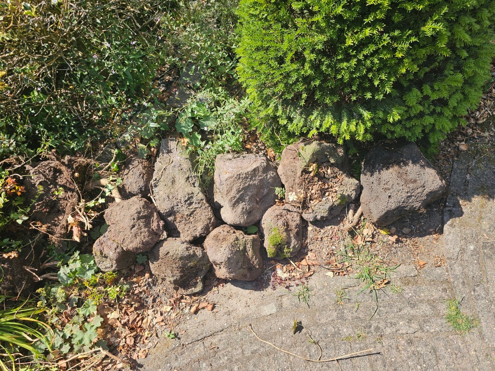 Grote lavastenen voor tuin of decoratie, Gebruikt, Ophalen of Verzenden, Kei, Lava