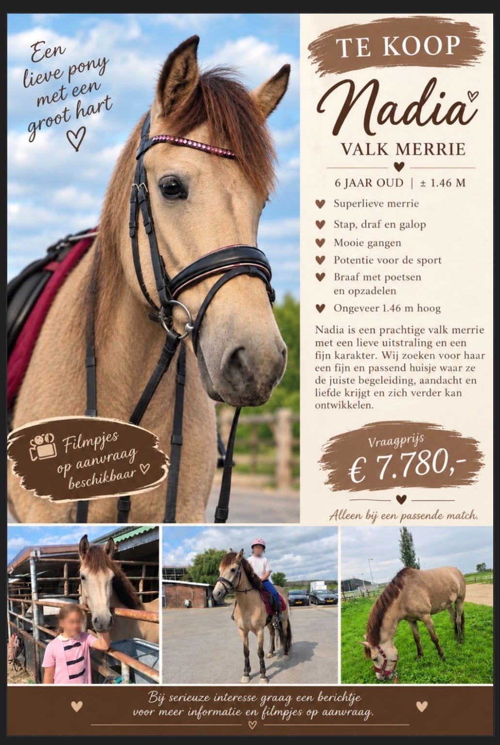 talentvolle 6 jarige valk merrie D-pony te koop, Dieren en Toebehoren, Merrie, Dressuurpony, Zadelmak, 3 tot 6 jaar