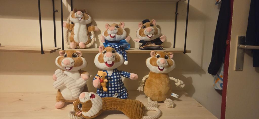 Leuke Hamster Knuffels, Hamster, Ophalen of Verzenden, Zo goed als nieuw, Middelgroot (20 tot 80 cm)
