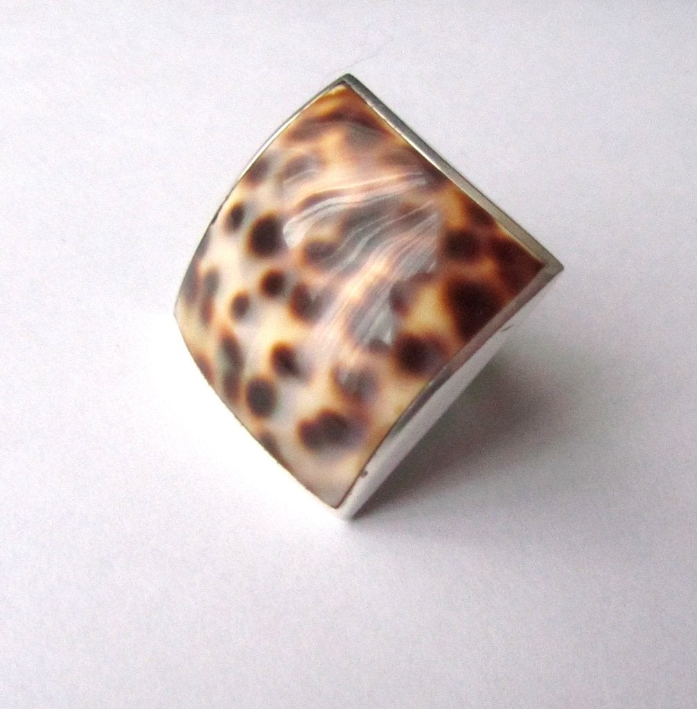 Prachtige 925 zilveren ring parelmoer Abalone mt. 16, Ophalen, Zilver, Ring, Met edelsteen