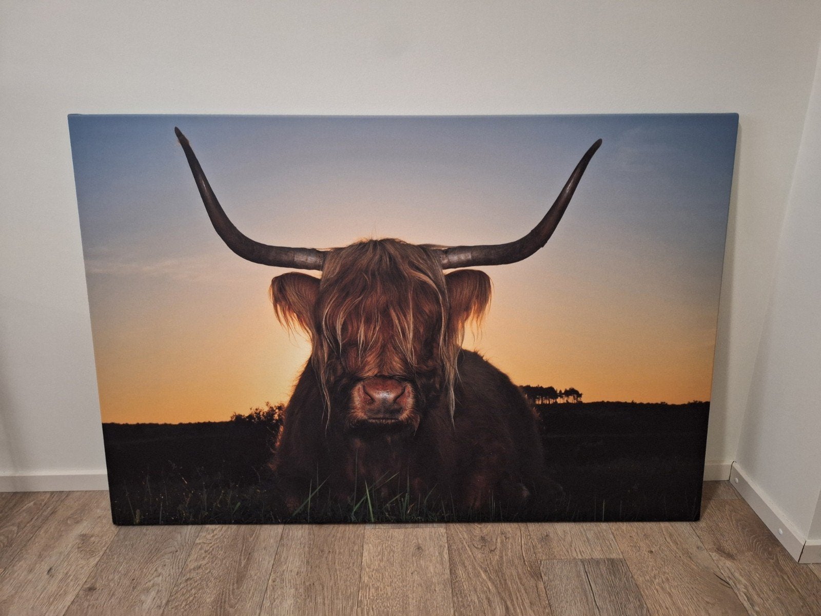 Canvas Schotse Hooglander 80x120 cm, Ophalen, 100 tot 125 cm, 75 – 100, Print