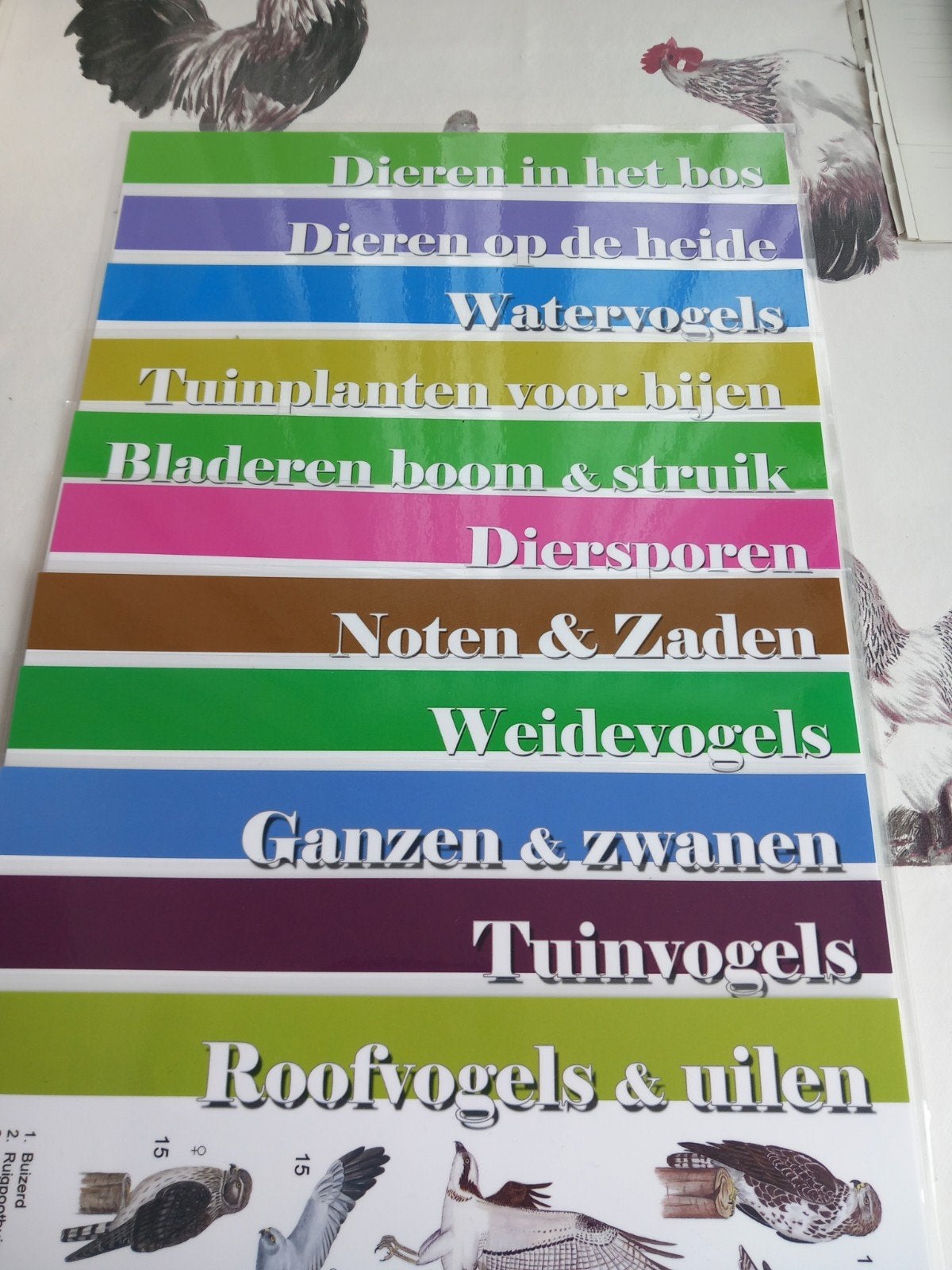 Natuur posters: Dieren, planten, vogels en meer, Ophalen of Verzenden, Zo goed als nieuw, Natuur algemeen, Onbekend
