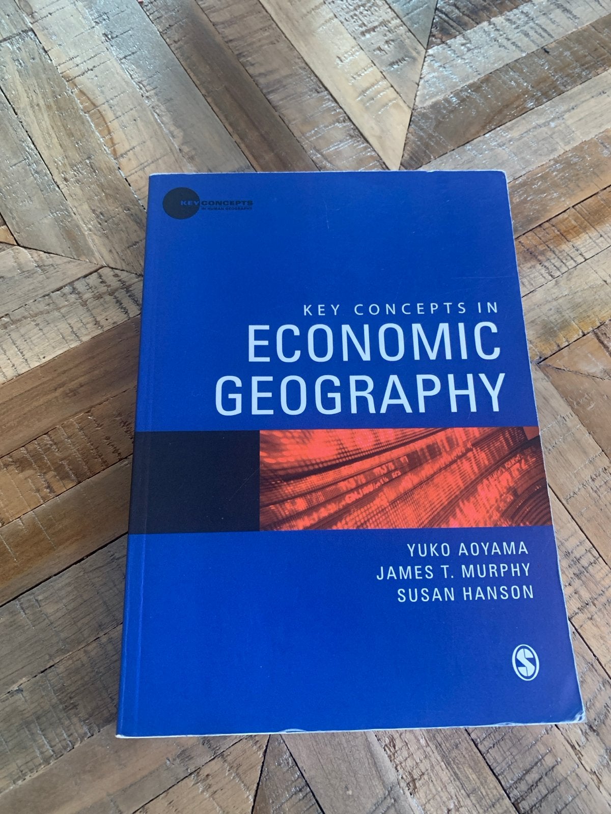 Key Concepts in Economic Geography  Aoyama Murphy Hanson, Ophalen of Verzenden, Gamma, Zo goed als nieuw, WO