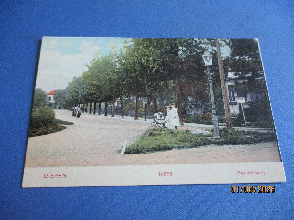 Dieren, Ophalen of Verzenden, Voor 1920, Ongelopen, Gelderland