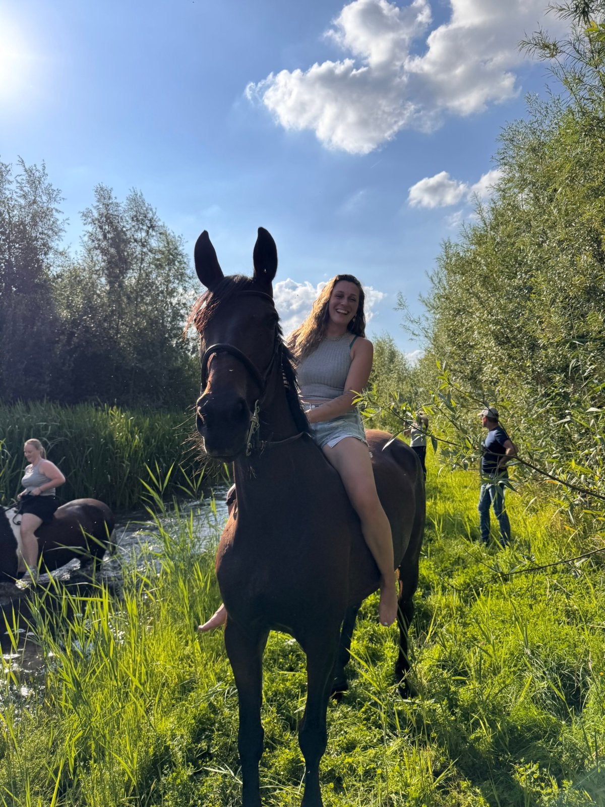 GEZOCHT stalling omgeving Zwolle, Dieren en Toebehoren, Stalling en Weidegang