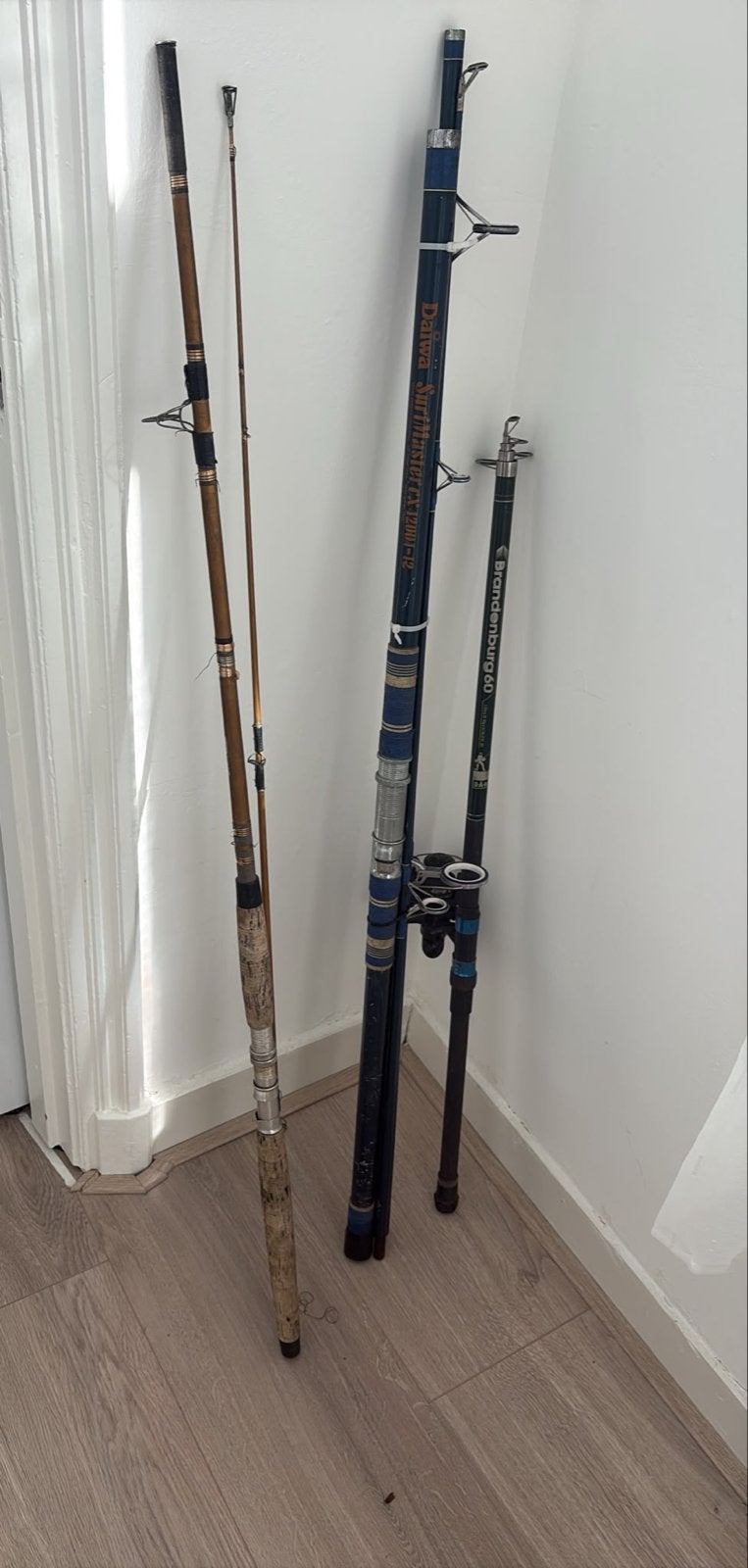 Diverse Hengels: Daiwa Surfmaster, Brandenburg en meer, Watersport en Boten, Hengelsport | Algemeen, Ophalen, Gebruikt, Werphengel