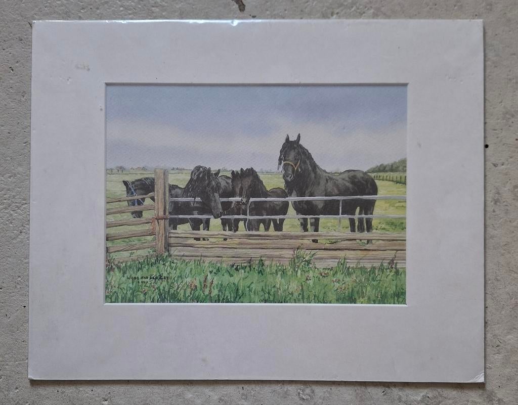 Aquarel prent van Friese paarden door Wiebe van der Zee, Ophalen of Verzenden