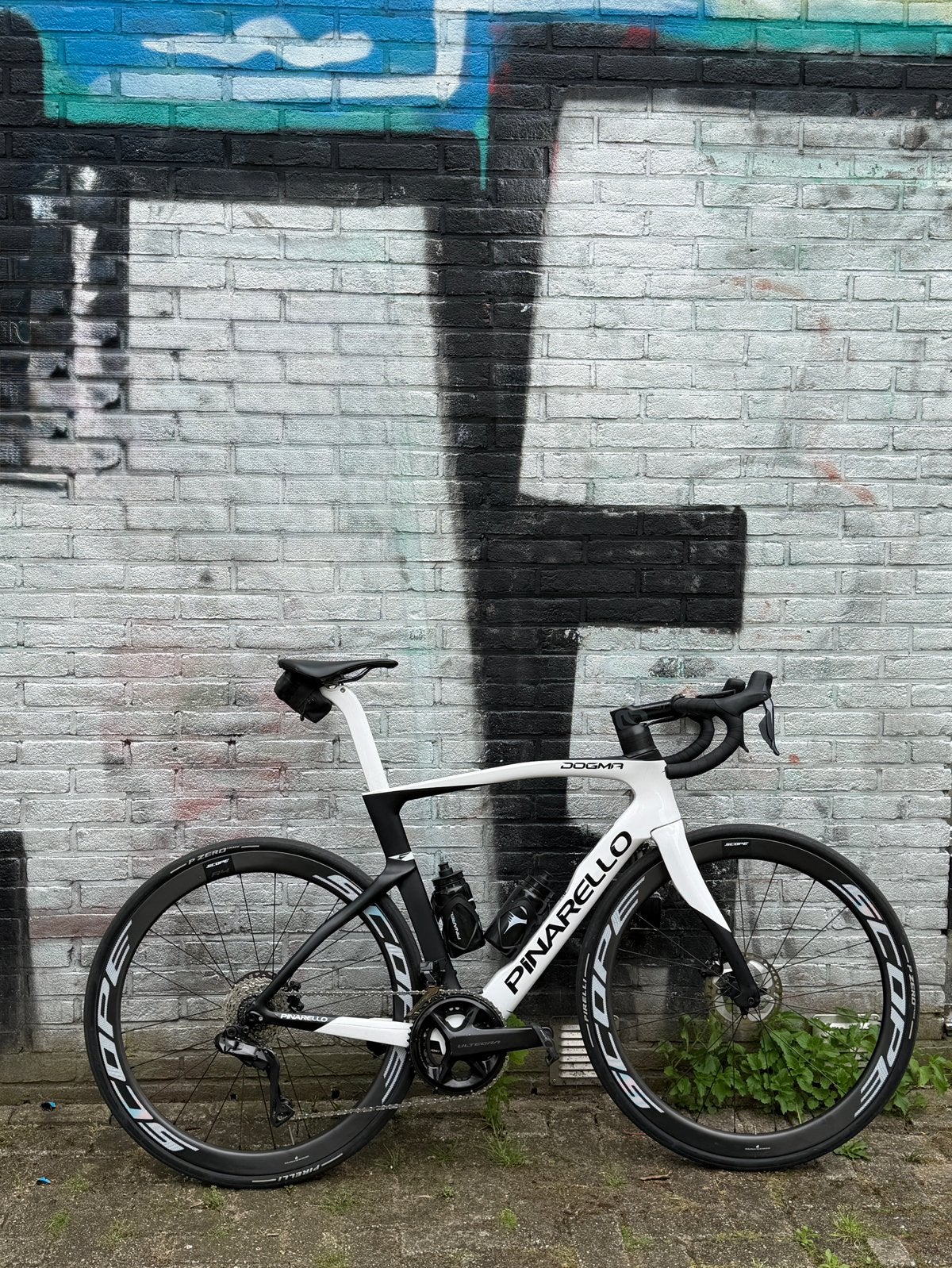 Pinarello Dogma F – maat 56cc – Scope carbon wielen, Carbon, Zo goed als nieuw, Meer dan 20 versnellingen, 53 tot 57 cm