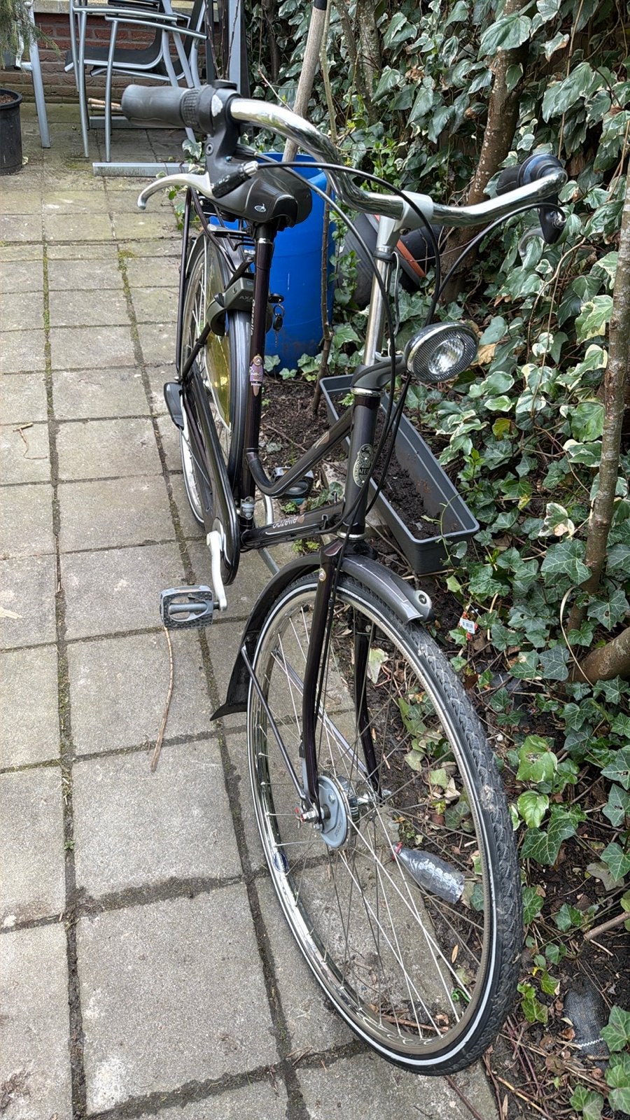 Gazelle damesfiets met lage instap 28 ince, Fietsen en Brommers, Fietsen | Dames | Damesfietsen, Terugtraprem, Ophalen of Verzenden