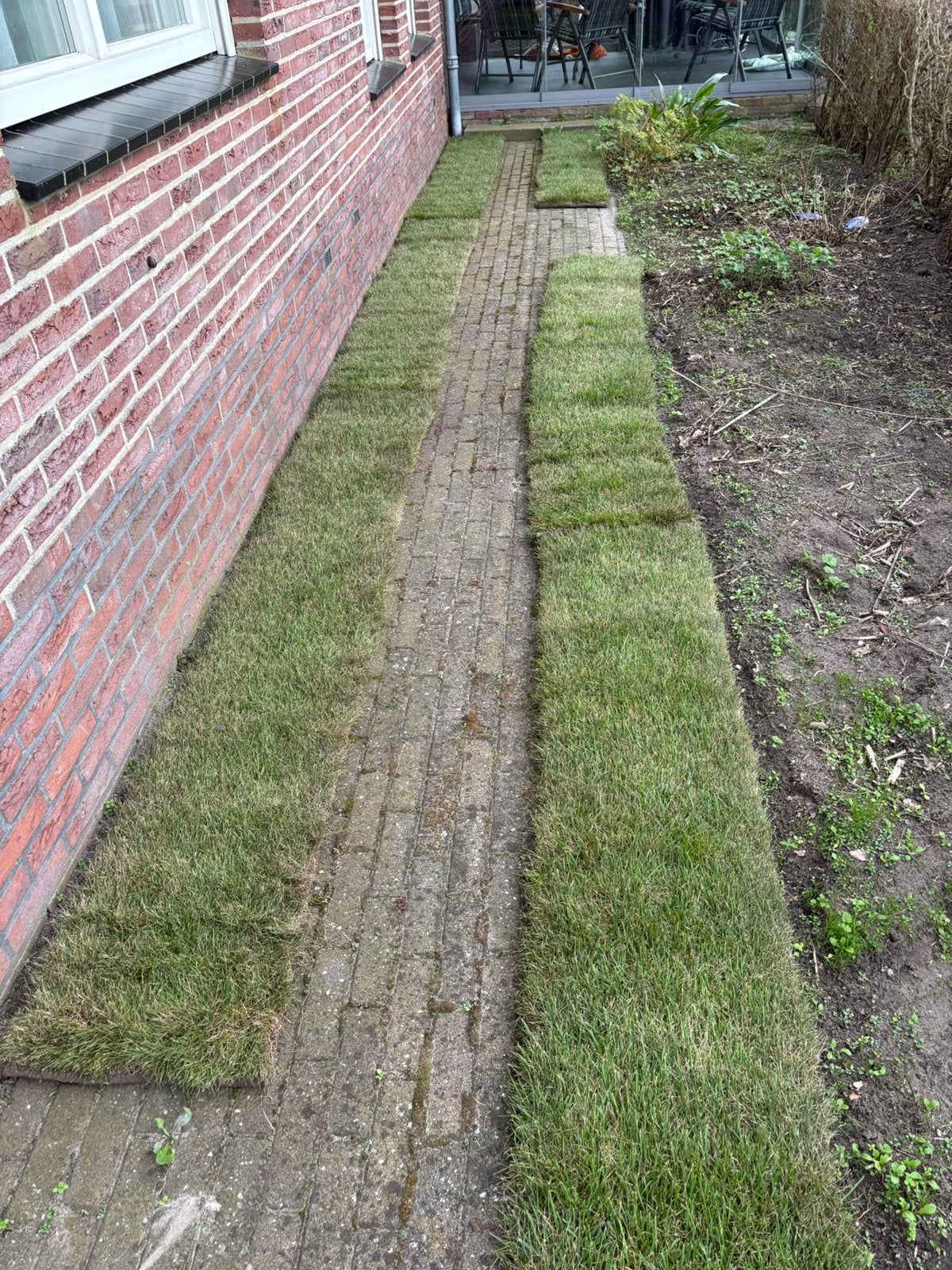 15 stuks graszoden te koop, Tuin en Terras, Ophalen, Nieuw, 10 tot 20 m², Gras