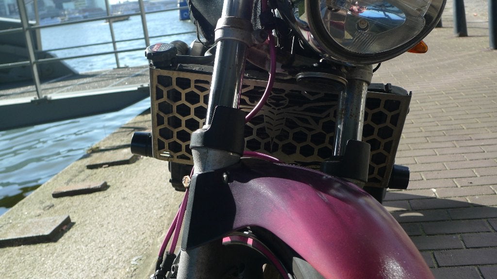 Foto 8 van Karaktervolle Honda Hornet CB600F (2004) – Klusproject