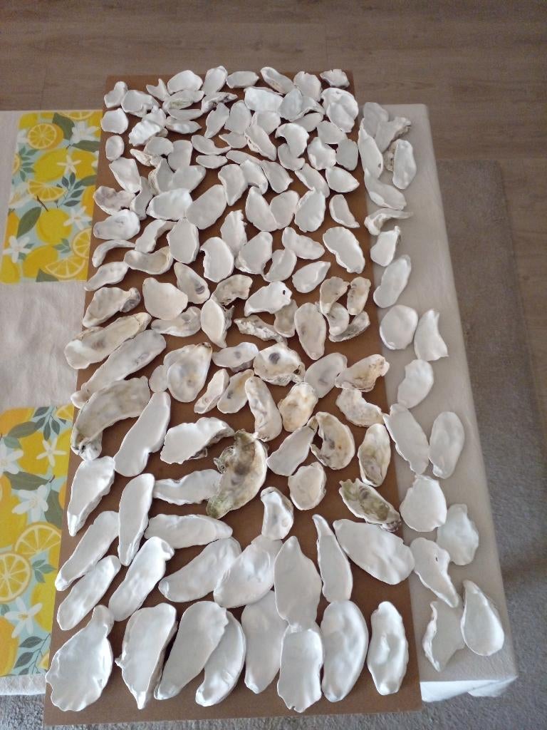 Zeer grote partij oesterschelpen maat: M t/m XXL Decoupage., Hobby en Vrije tijd, Knutselen, Zee en Strand, Nieuw, Ophalen of Verzenden