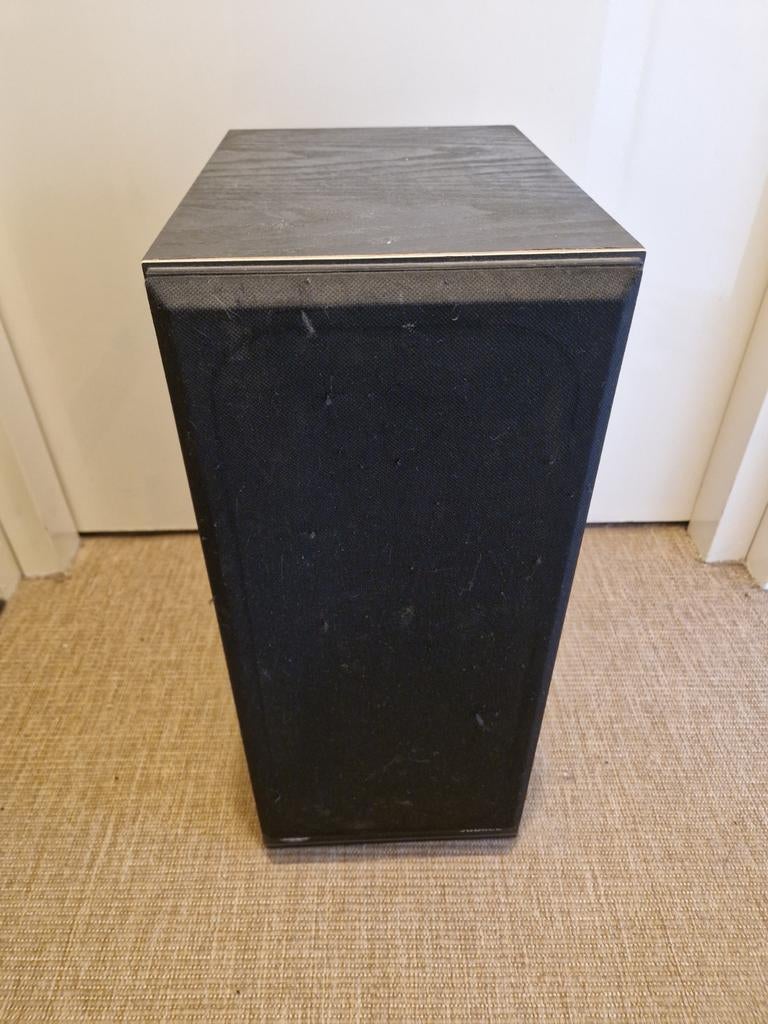 BNS Jubilee Speakers (2 stuks) - 50x22x32 cm, Audio, Tv en Foto, Luidsprekers, Gebruikt, Minder dan 60 watt, Front, Rear of Stereo speakers