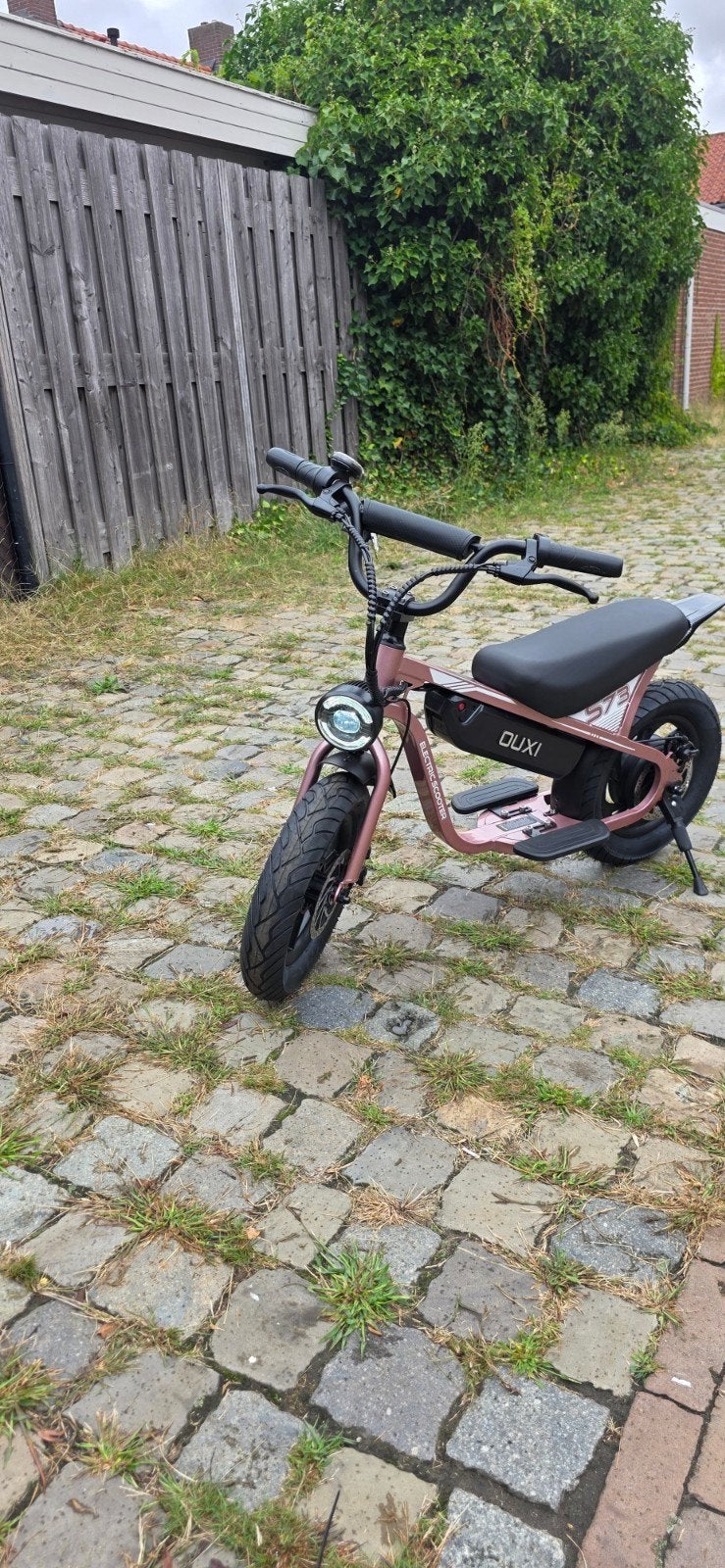 kinder fatbike zonder trappers elektrische  nieuw, Ophalen of Verzenden, Overige typen