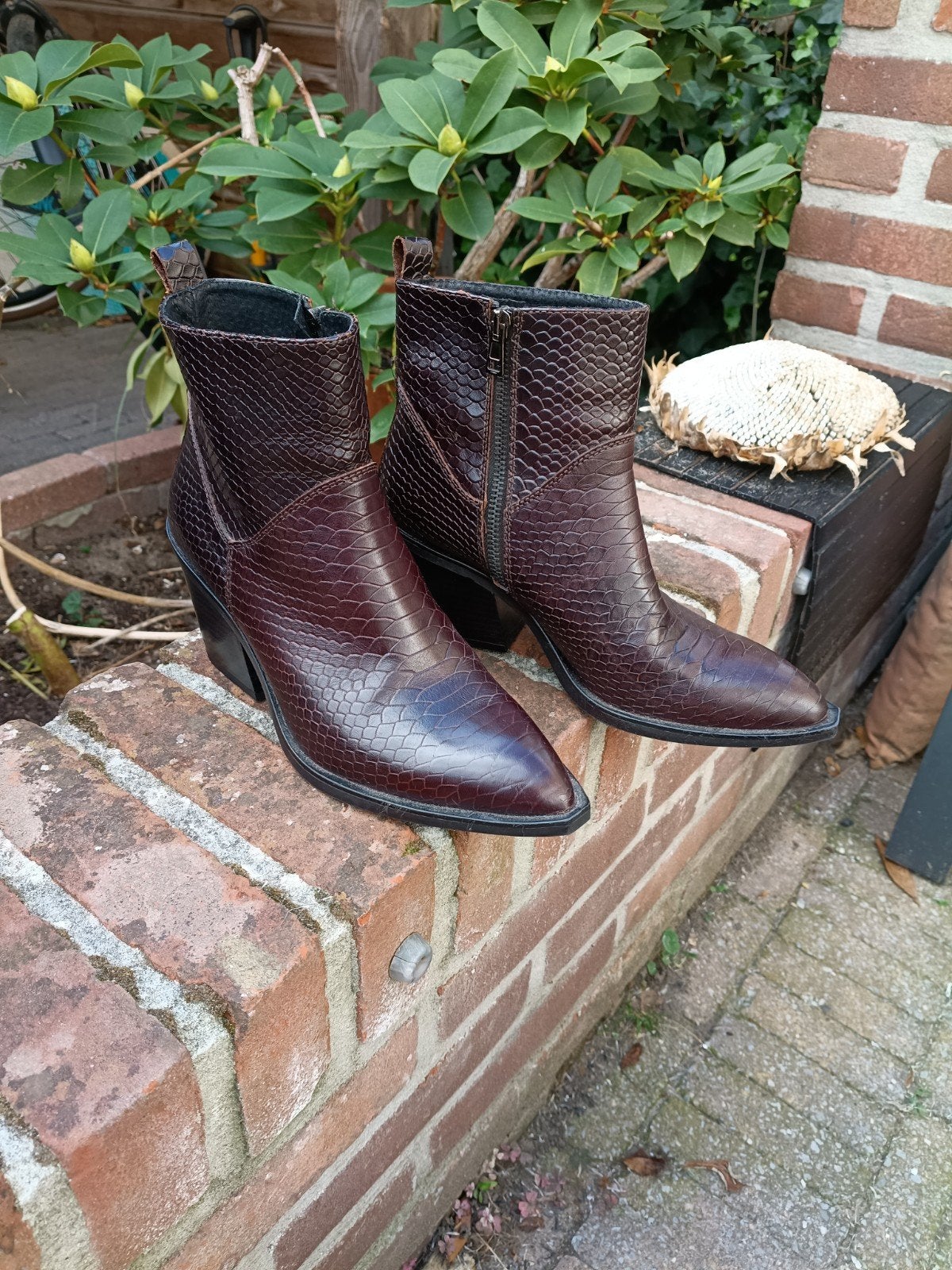 Noordwijk - Nieuwe Enkellaarsjes, Kleding | Dames, Ophalen of Verzenden, Nieuw, Bruin