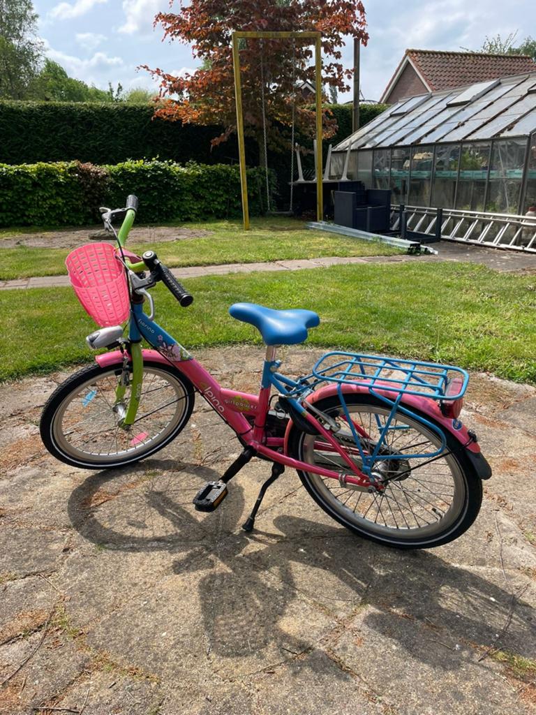 Mooi kinderfietsje Alpina 20 inch roze, blauw 20 inch, Ophalen, Gebruikt, 20 inch