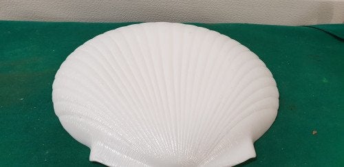 schaal glas schelpvormig, Ophalen of Verzenden, 'T Olde Gre-j, Info@toldegrej.nl, Endepoelstraat 20f Didam