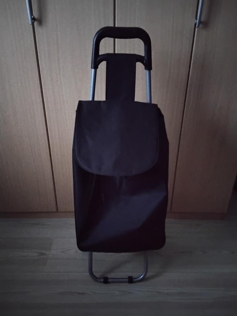 Boodschappenwagen, Ophalen of Verzenden, Nieuw, 30 cm of meer