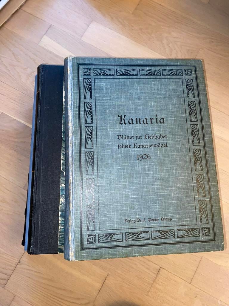 kanarie boeken, Verzenden, Gelezen