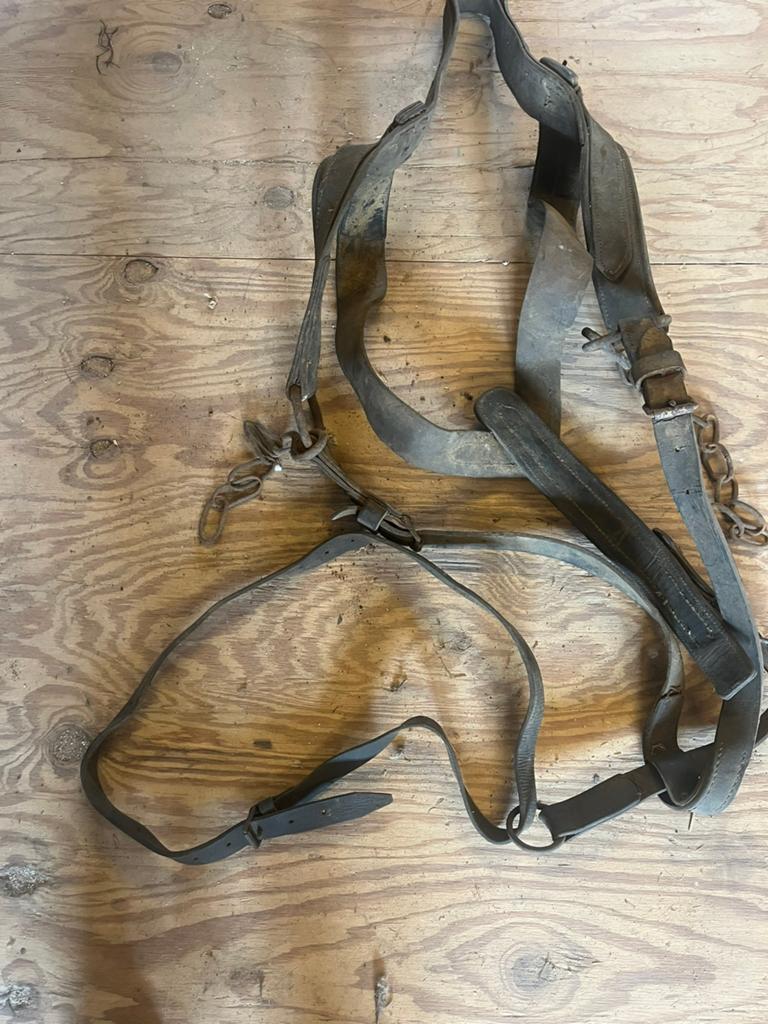 Te koop oud paarden tuig, Dieren en Toebehoren, Ophalen of Verzenden, Gebruikt, Overige soorten