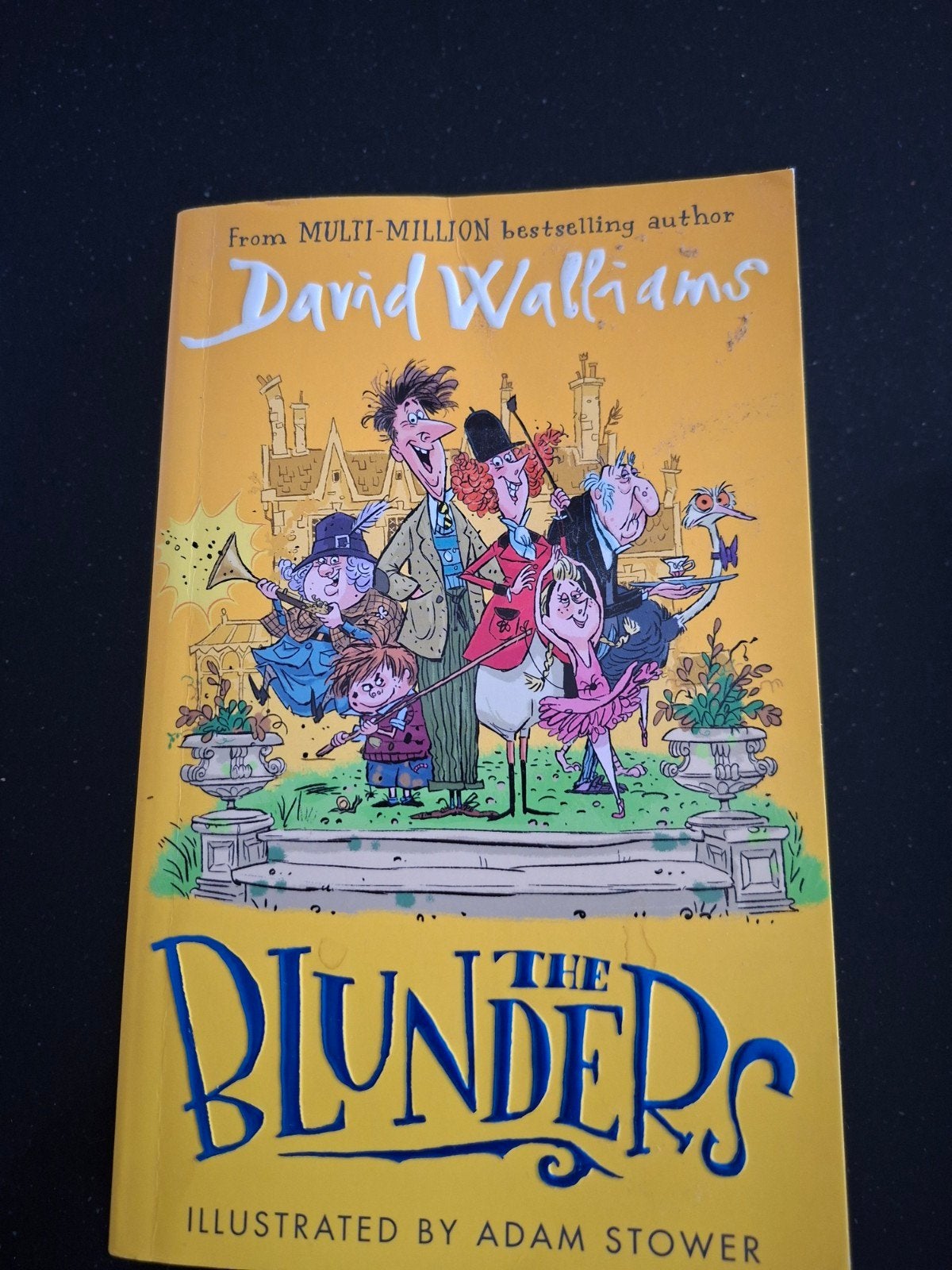 The Blunders - David Walliams (Engels), Boeken, Ophalen of Verzenden, Zo goed als nieuw, David Walliams, Fictie algemeen
