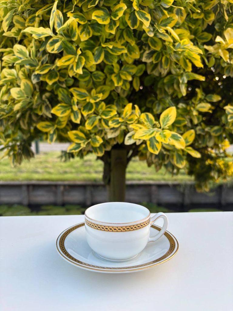 Rosenthal Filiżanka i spodek Rosenthal Bavaria, Antiek en Kunst, Antiek | Servies compleet, Verzenden