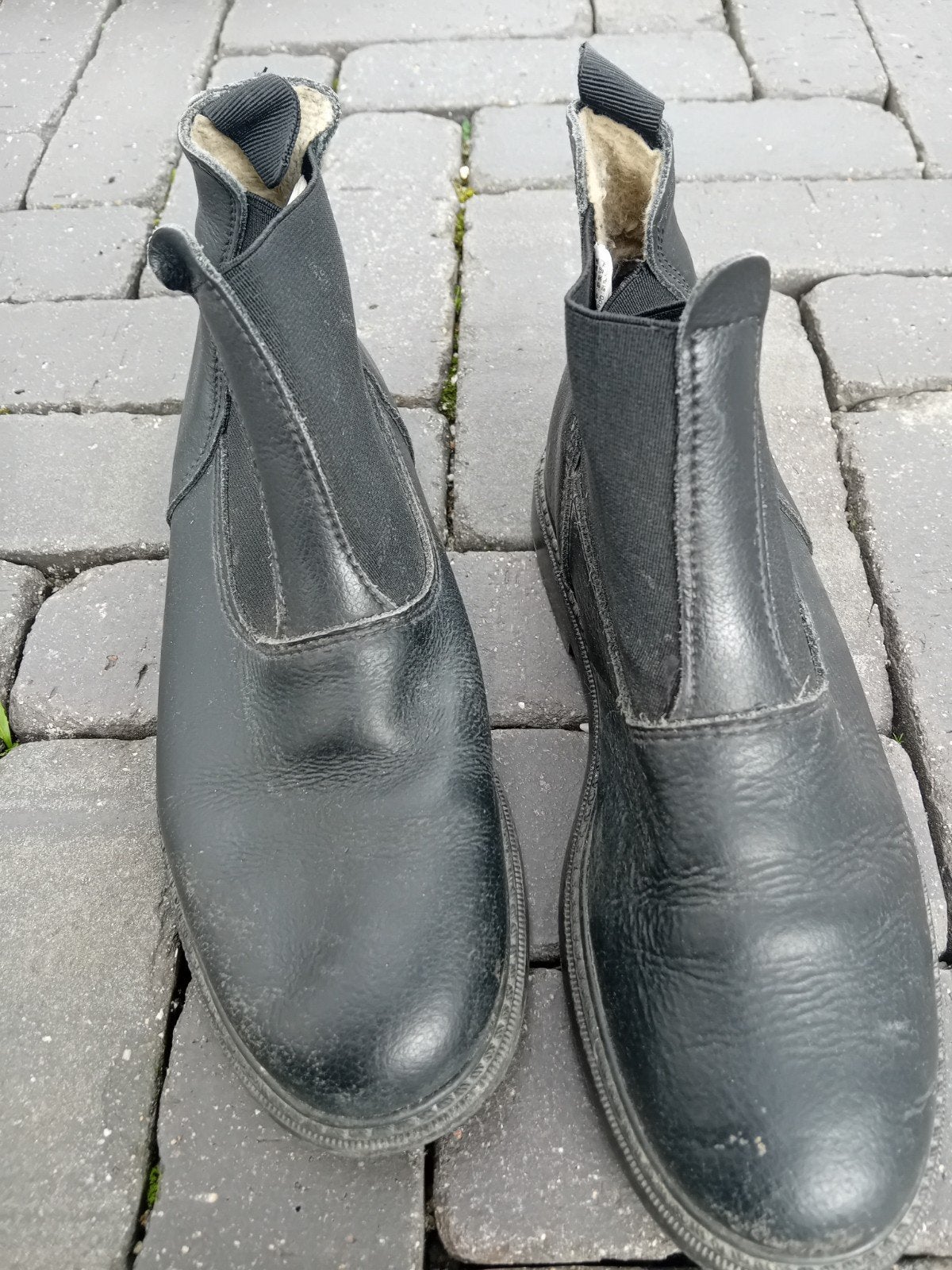 jodhpurs, Dieren en Toebehoren, Ophalen of Verzenden, Gebruikt, Schoeisel