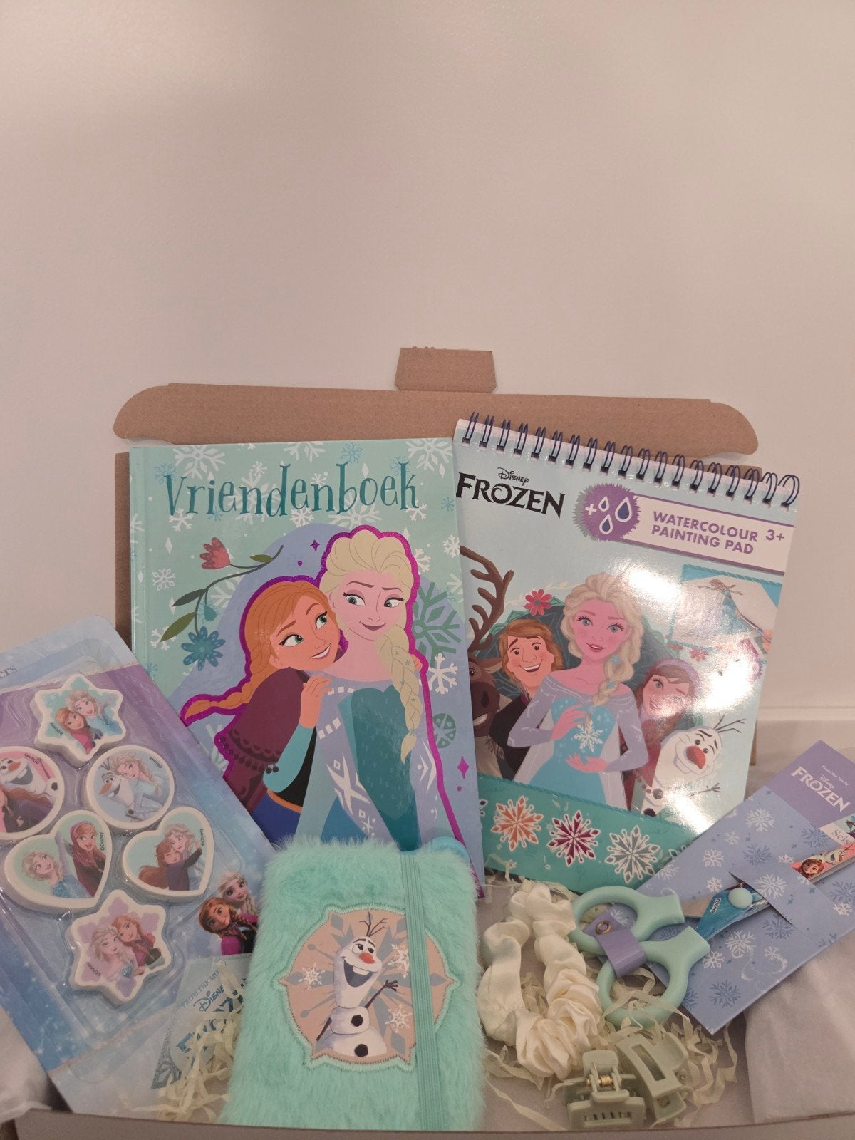 Frozen Giftbox met Vriendenboekje en meer!, Ophalen of Verzenden, Nieuw