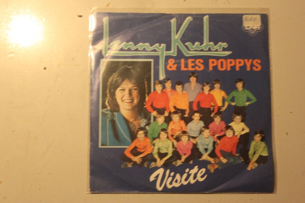 700o - lenny kuhr & les poppys--a--visite--b--een woord, Cd's en Dvd's, Ophalen of Verzenden, Gebruikt, Nederlandstalig