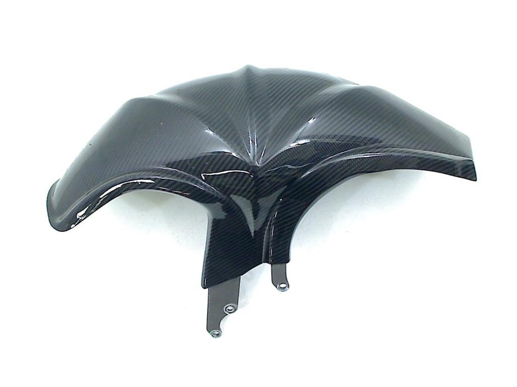 Spatbord Achter CARBON BMW R 1250 GS 2019-2023 (R1250GS 19), Gebruikt, Petuelring 130, München 80809, , Duitsland, BMW, Bayerische Motoren Werke AG