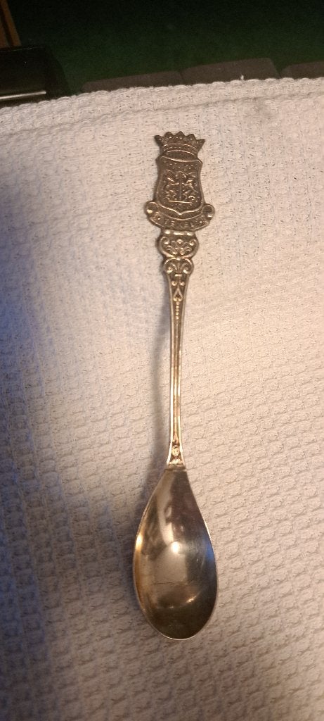 Theelepel Texel (Z254-44), Ophalen of Verzenden, Zo goed als nieuw