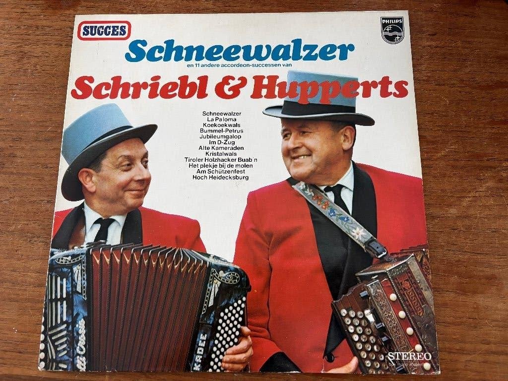 LP Schneewalzer en 11 andere accordeon successen, Gebruikt, Ophalen of Verzenden, Levenslied of Smartlap, 12 inch