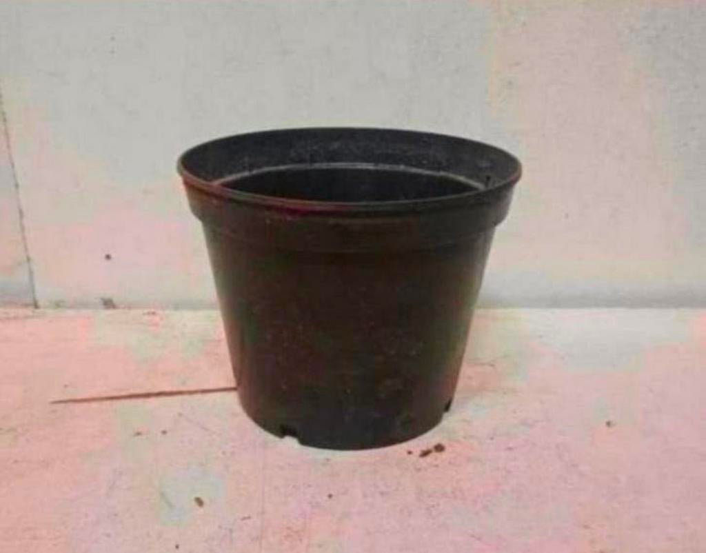 Kweekpotten plantenpotten bloempotten 2 liter, Kunststof, Gebruikt, Rond, Ophalen of Verzenden