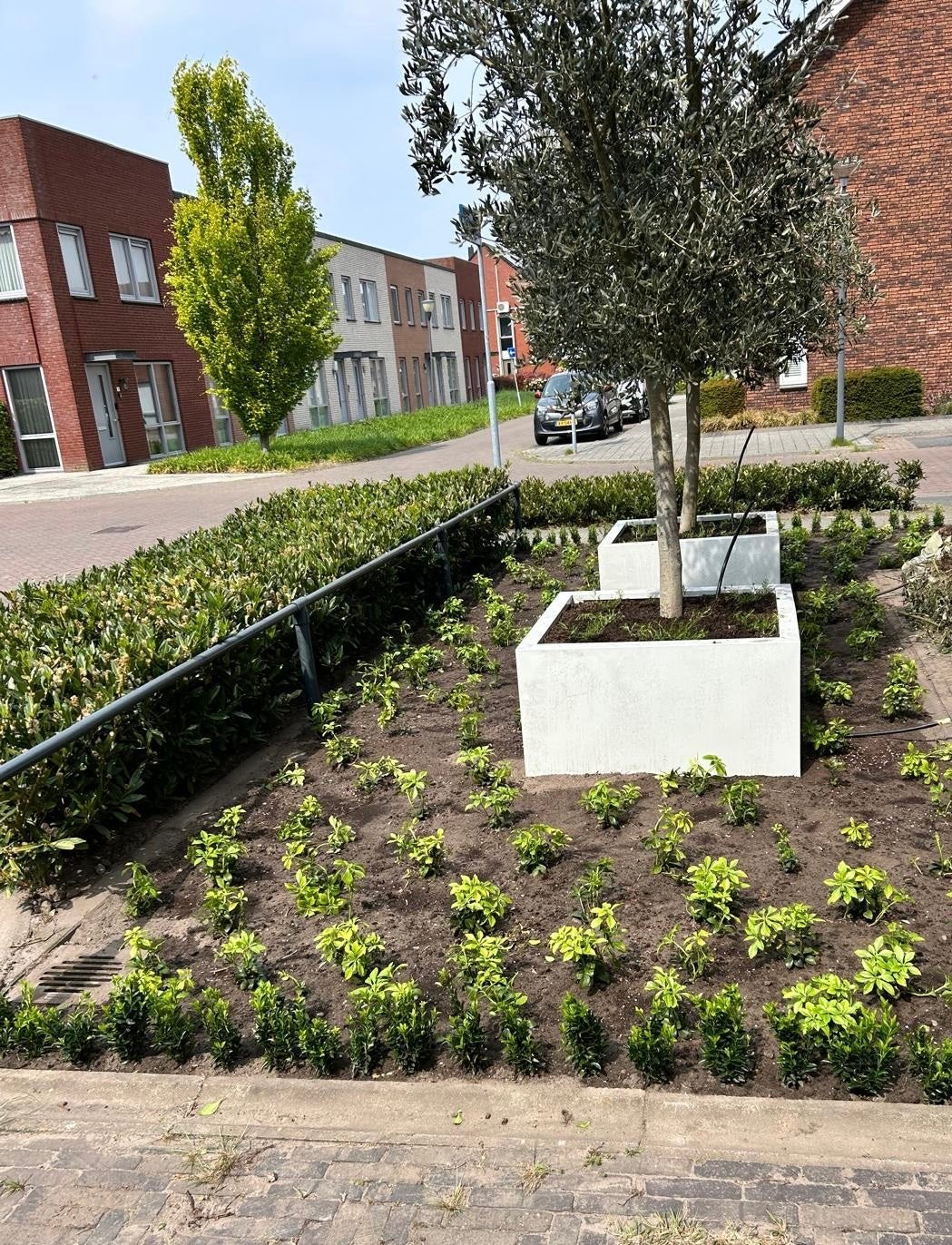 grote antraciete plantenbakken op elk gewenste maat, Tuin en Terras, Bloembakken en Plantenbakken, Ophalen of Verzenden, Nieuw