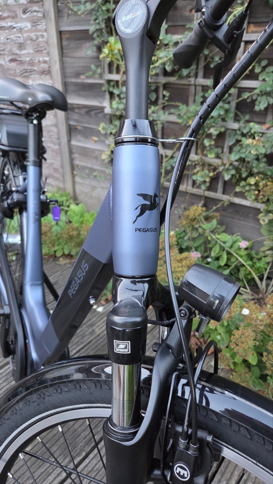 600km - Elektrische fiets Pegasus
