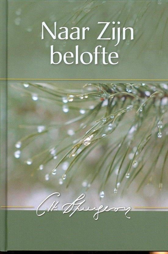 Naar Zijn belofte Charles Haddon Spurgeon 9789033607547, Boeken, Godsdienst en Theologie, Ophalen of Verzenden, Zo goed als nieuw