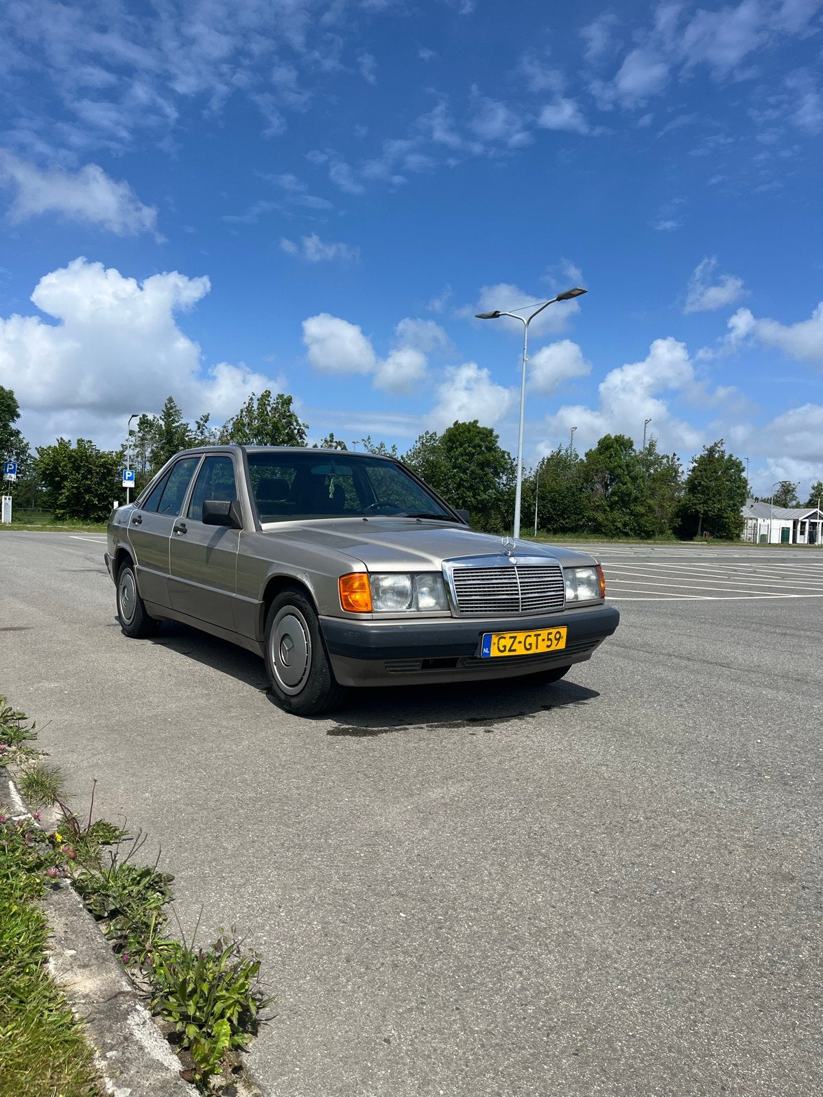 Mercedes-Benz 190-Serie 1.8 E U9 1993 Beige, Auto's, Achterwielaandrijving, 625 kg, 4 cilinders, Beige