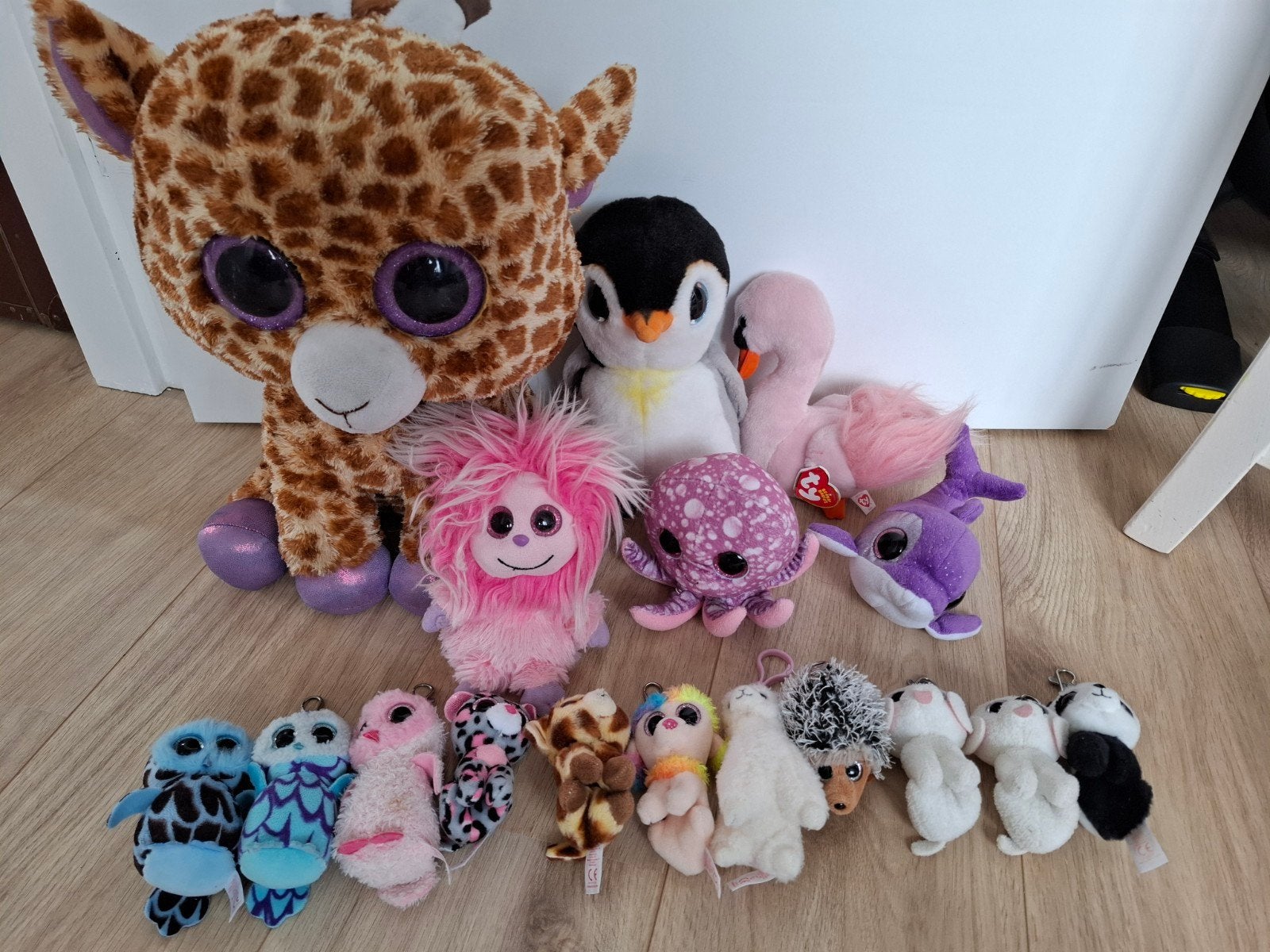 Diverse Beanie Boo knuffels, Ophalen of Verzenden, Nieuw, Overige typen