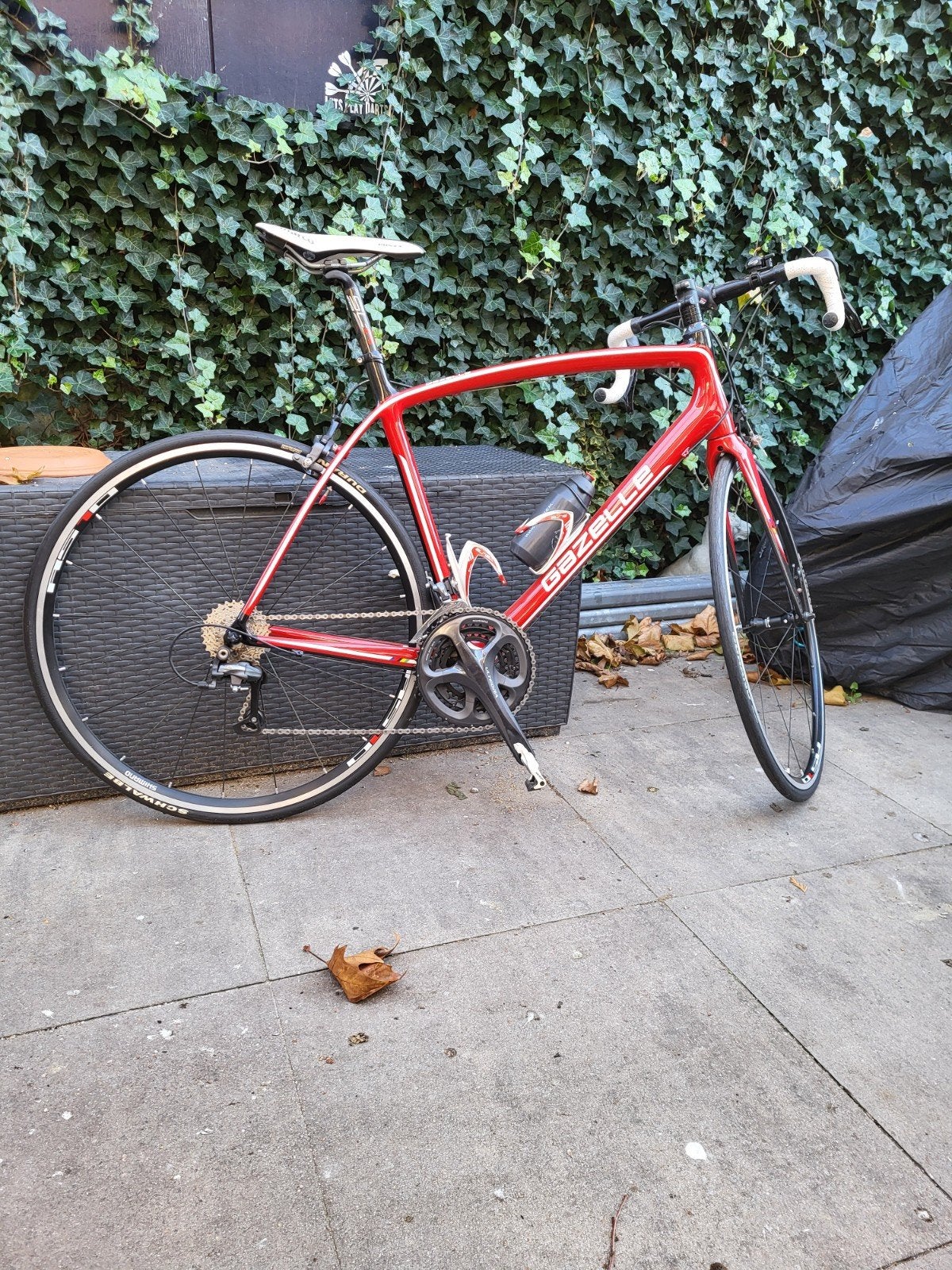 Nieuwe Gazelle Racefiets Maat 57 Full Carbon 20 Versn., Fietsen en Brommers, Fietsen | Racefietsen, Carbon, Velgrem, Ophalen of Verzenden