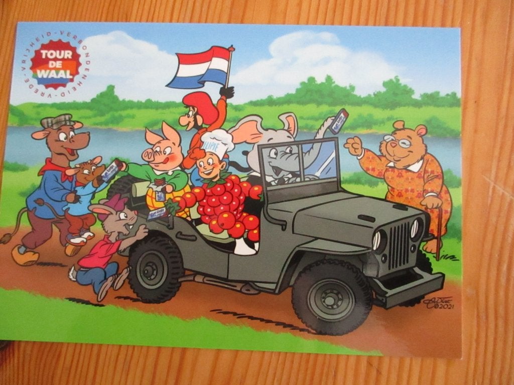 ansichtkaart, Ophalen of Verzenden, Ongelopen, Gelderland