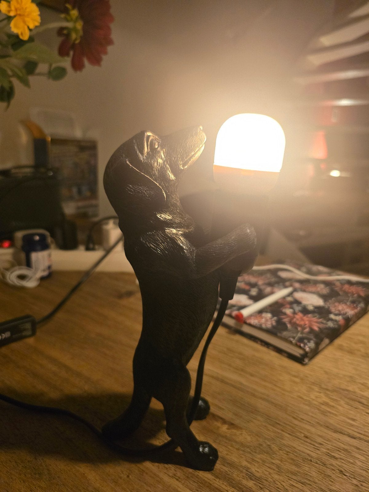 Unieke Tafellamp Hond met Lampje - 26 cm hoog, Kunststof, Zwart, Met stekker, Modern