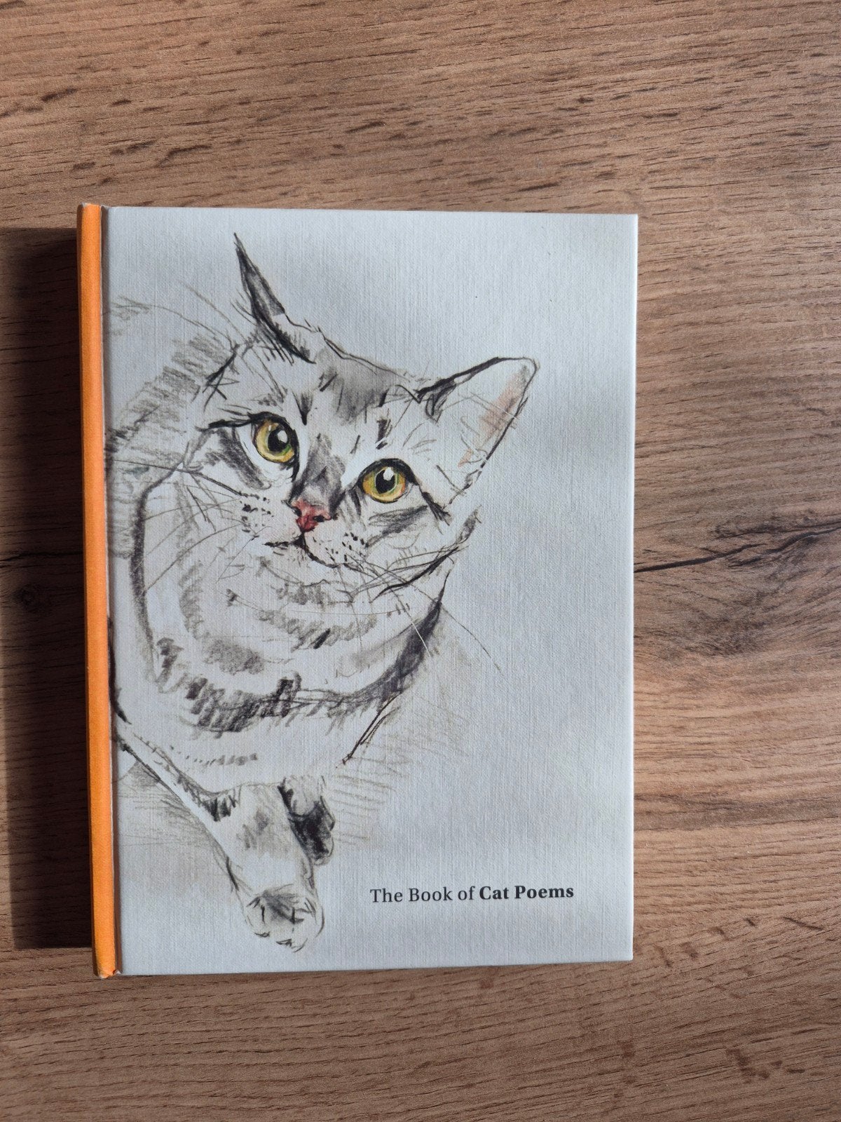 The Book of Cat Poems, Ophalen of Verzenden, Zo goed als nieuw, Ana Sampson, Sarah Maycock, Meerdere auteurs